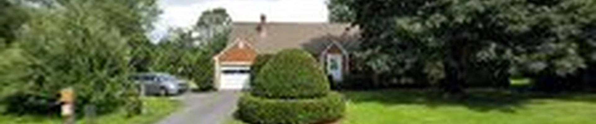 Dave's Tree Care