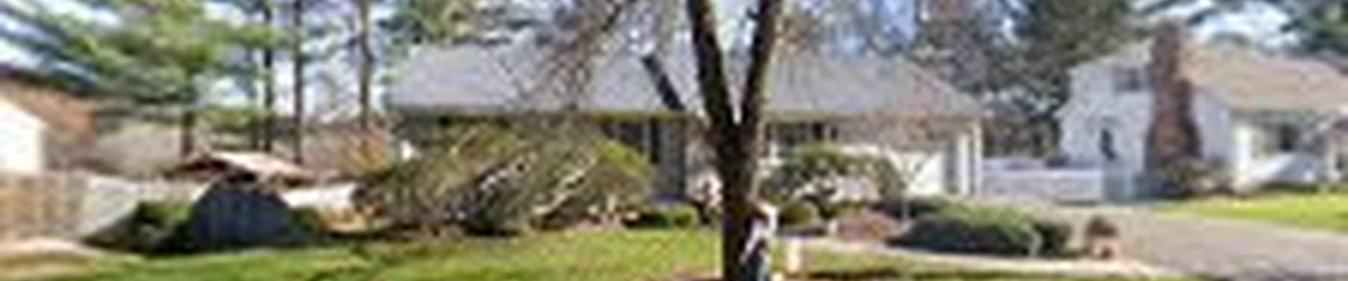 Sabos Landscaping