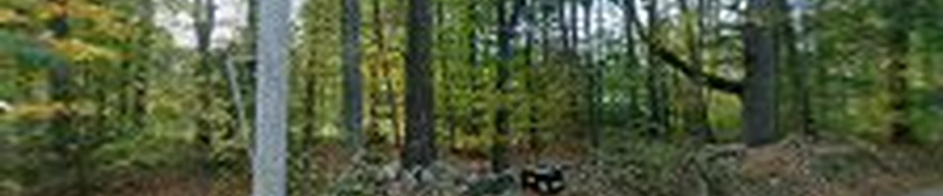 Young Landscapes, Inc