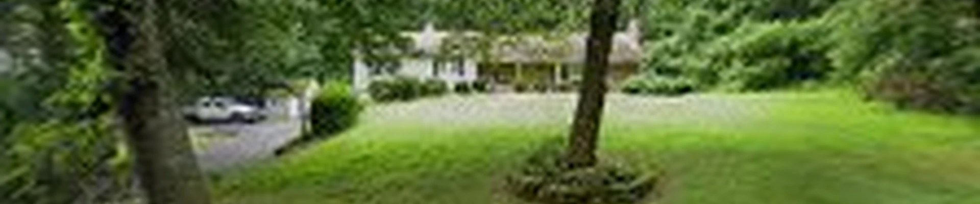 H.L.O lawn care and landscaping, LLC