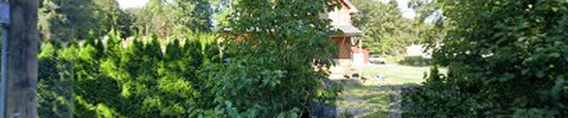 Terra Landscape & Construction