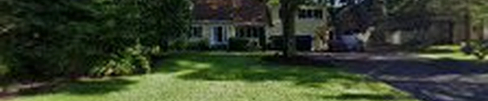 1 Pats lawncare services
