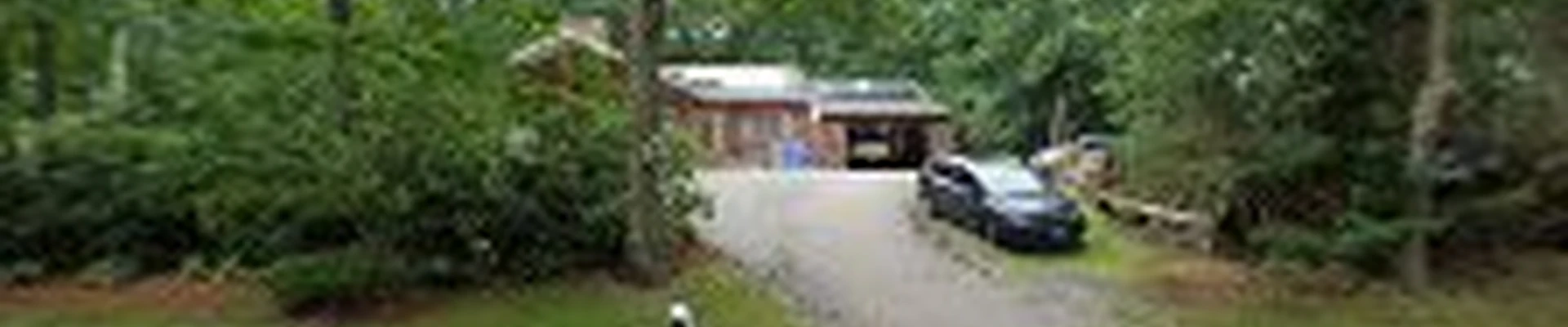 Barrios Landscaping