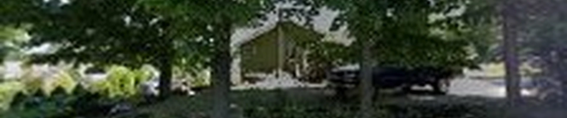 Synergy Landscaping