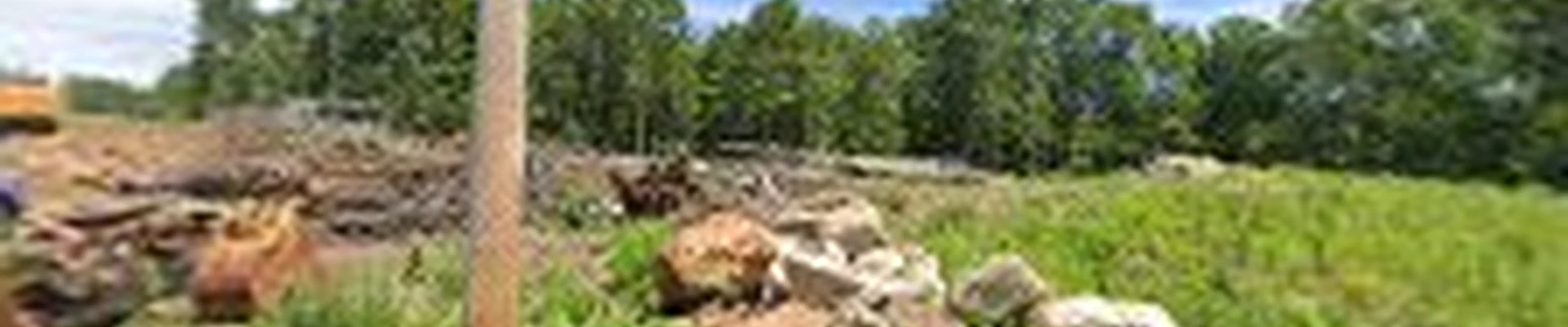 DNG Landscaping LLC