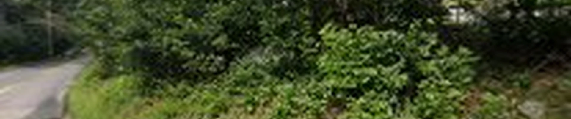 Dynamic Landscaping & Masonry Inc