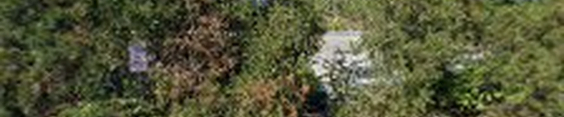 Badona Landscaping & Construction INC.