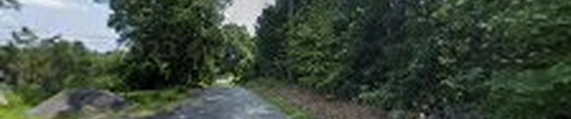 Wachusett Tree & Landscaping