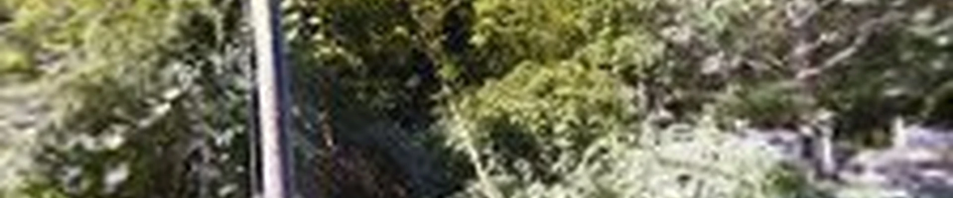 Somax Lawn Care