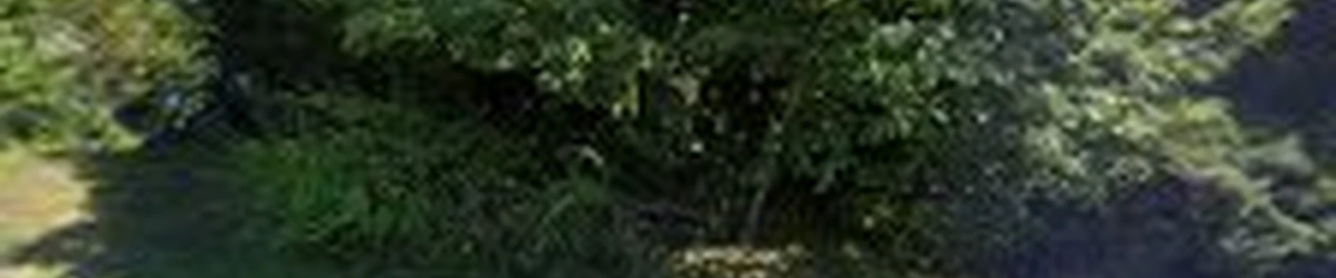 Ethan's Eden Landscape and Design, LLC