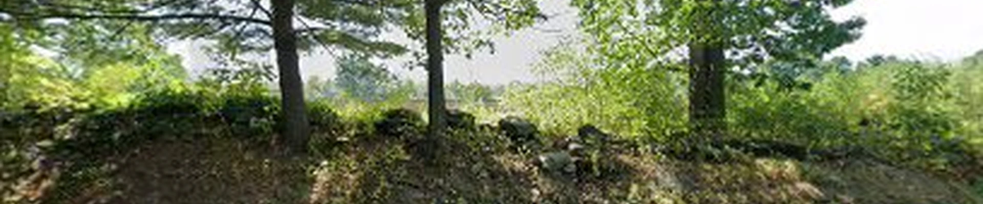 Forever Green Landscaping