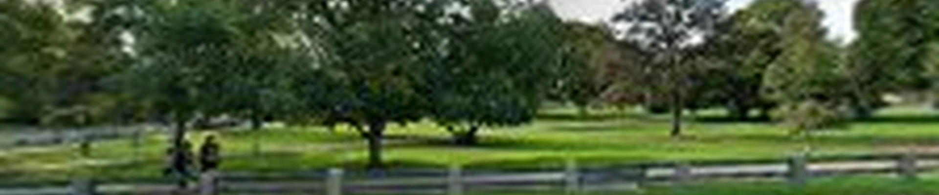 JIMMY’S LANDSCAPING TREE SERVICE & MASONRY