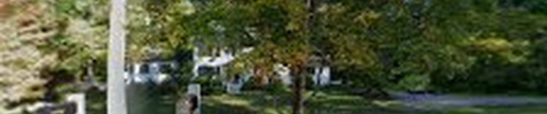 Roots & Rocks Landscape Artisans