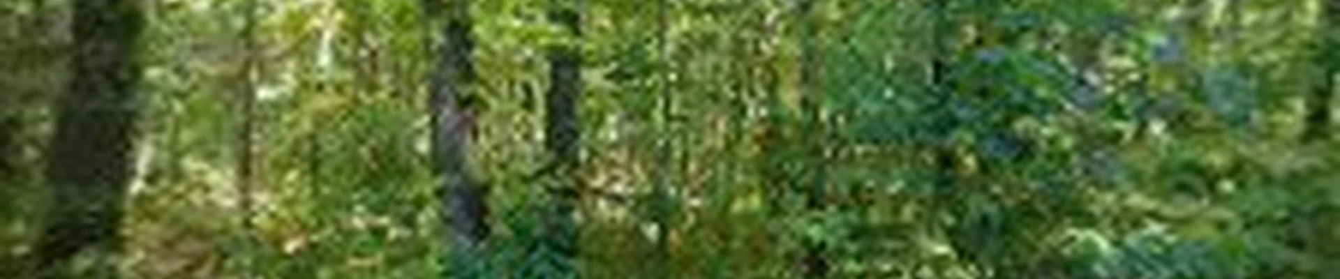 Block & Blade Landscaping