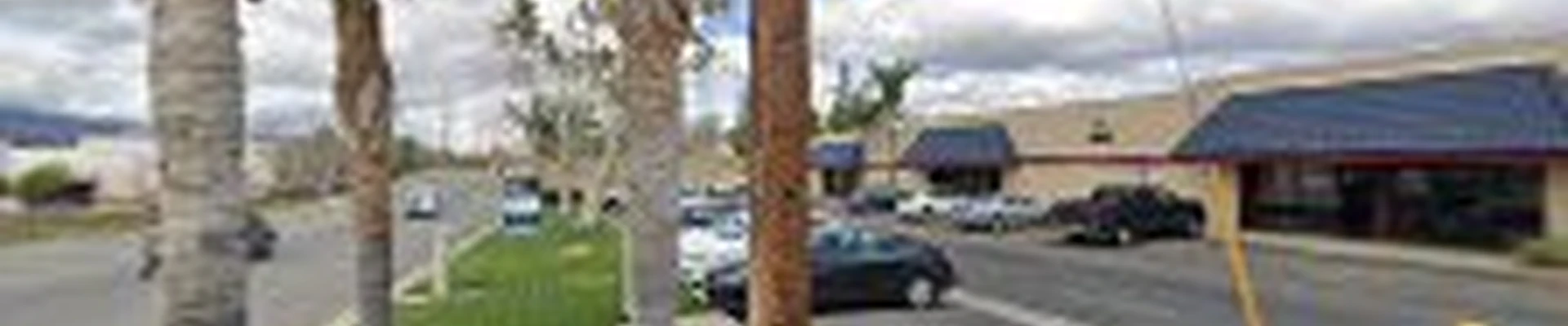 Bella Piedras Landscape Construction