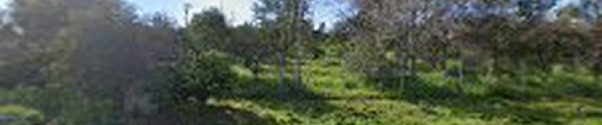 Van's Landscape construction