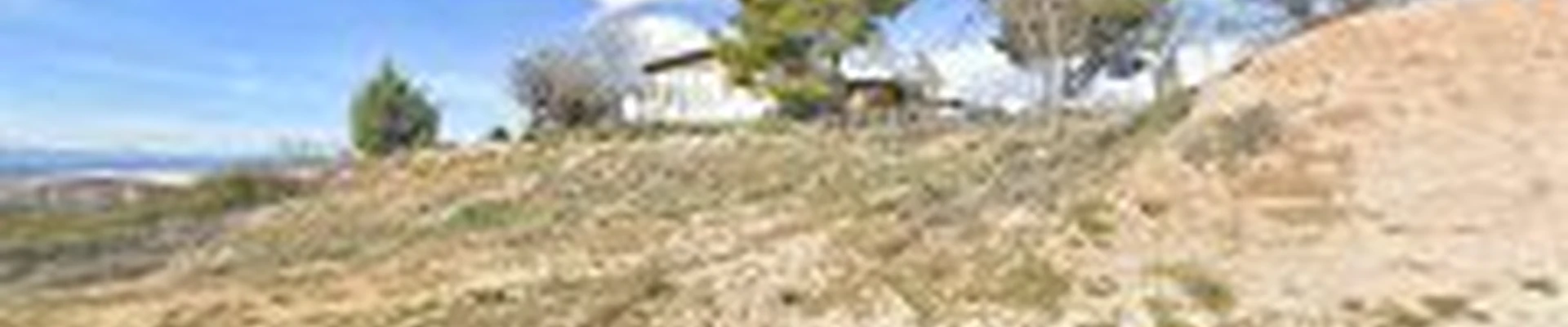 D & L Tree Service and Landscaping