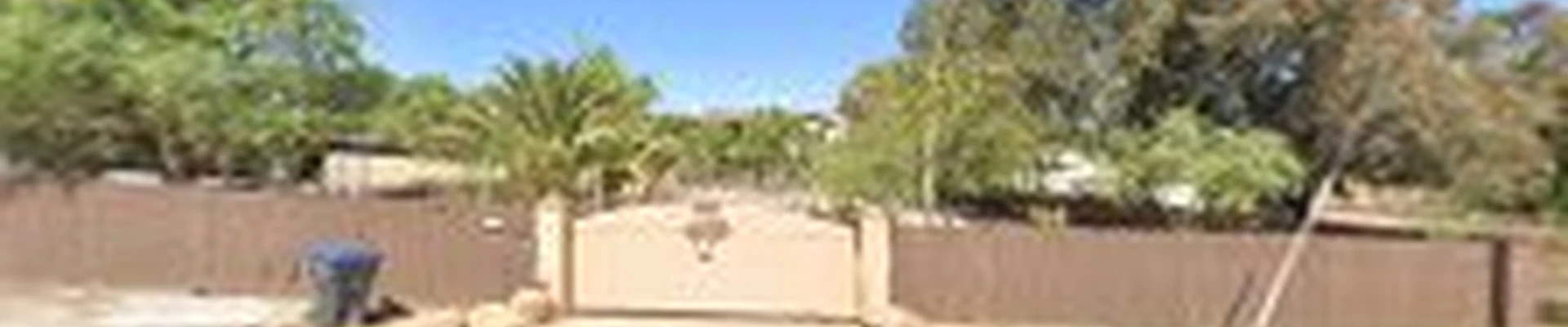 Desert Oak Landscape