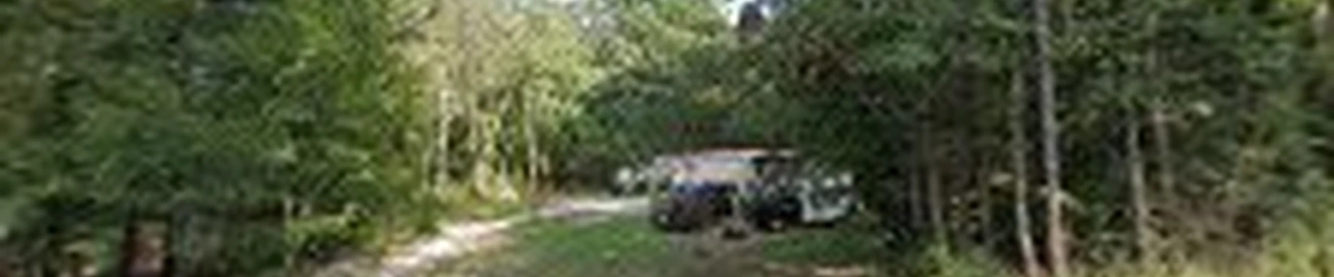 Gonzalez Landscaping and Tree Service