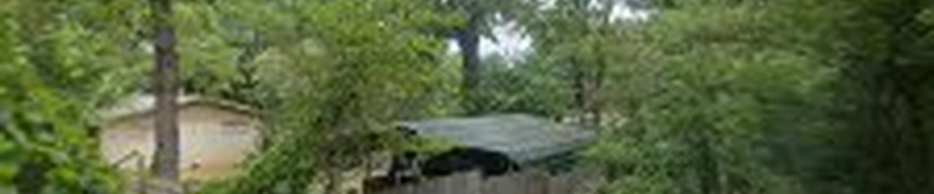 Dino’s Lawn & Landscape