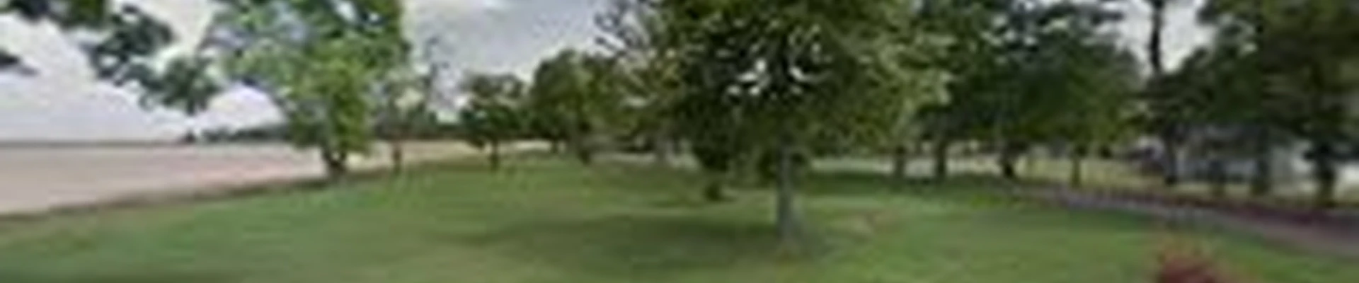 Mendoza landscaping an lawn care