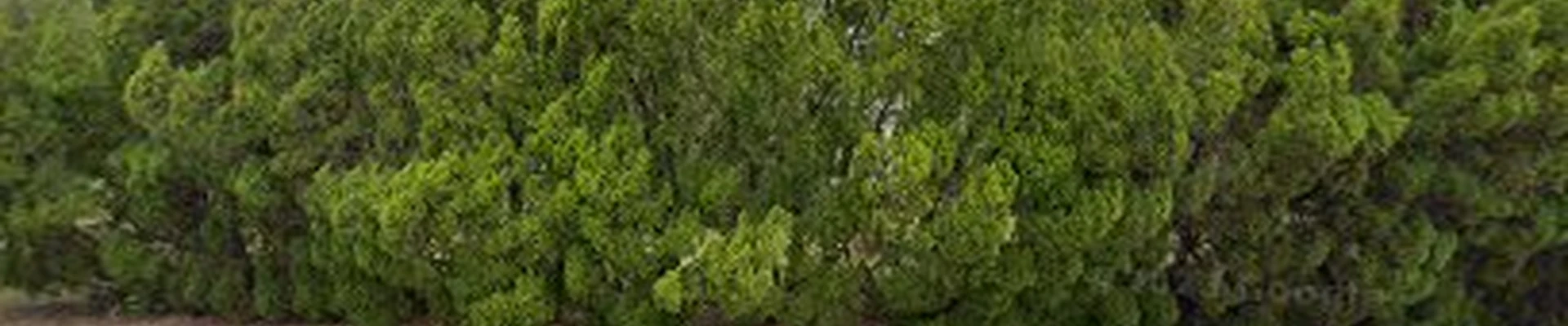 Nature's Way Landscaping