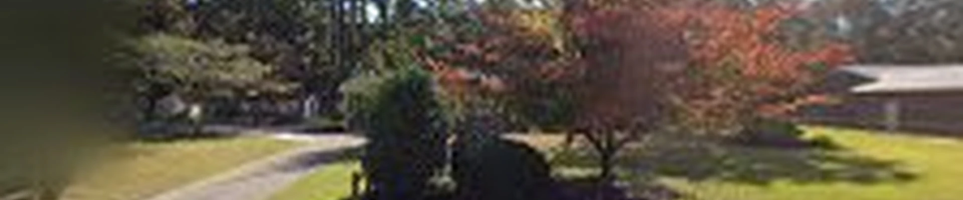 Futrell Lawn Care & Landscaping