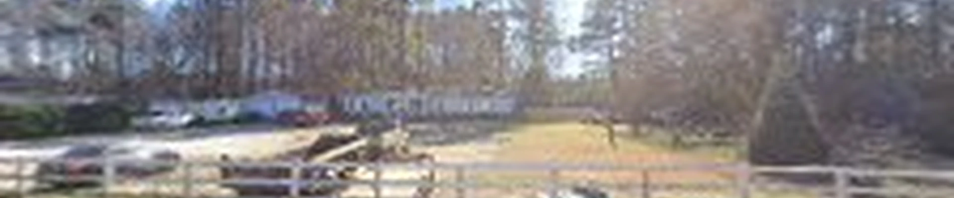 Cruz lawn service & landscaping