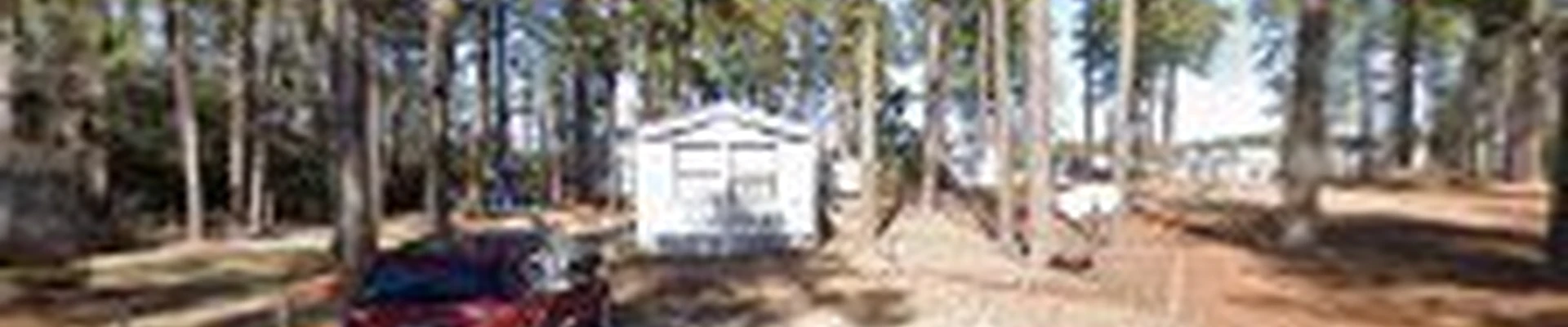 D.N.A Lawn Care and Landscaping
