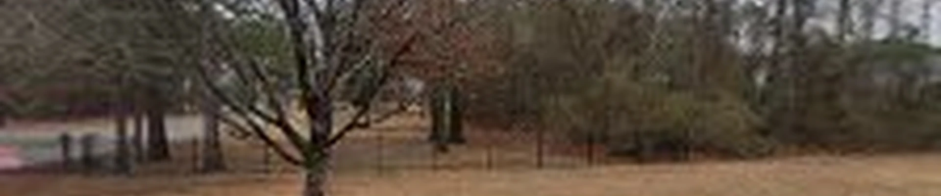 Buena vista landscaping LLC