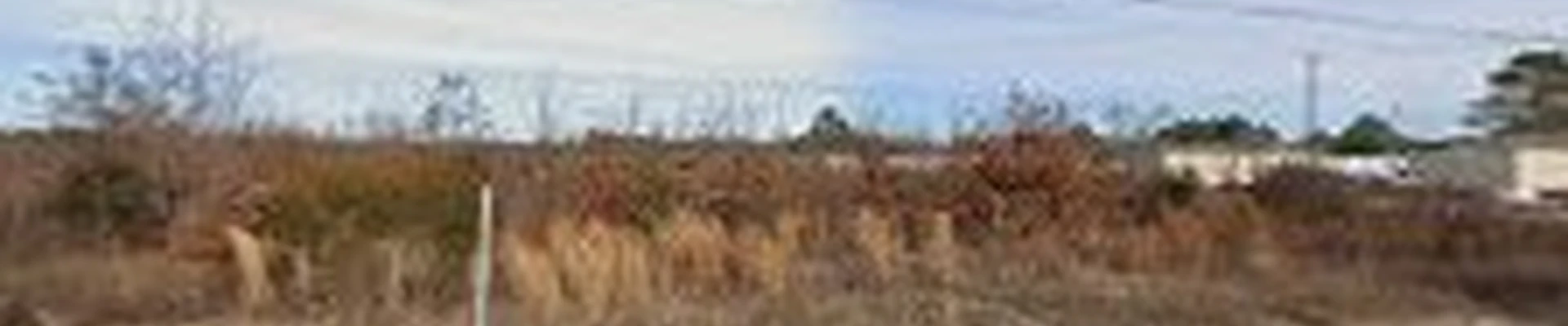 Davis Family Lawn Care, LLC (Insured)