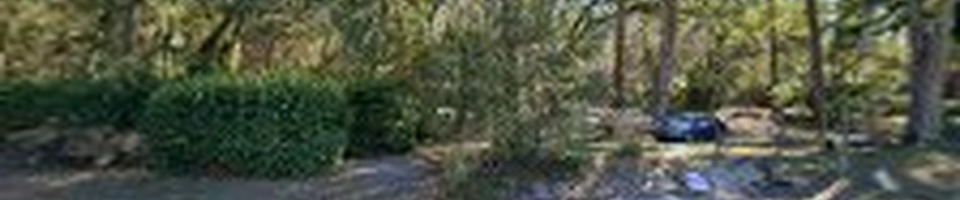 Second Nature Lawn Care and Landscaping
