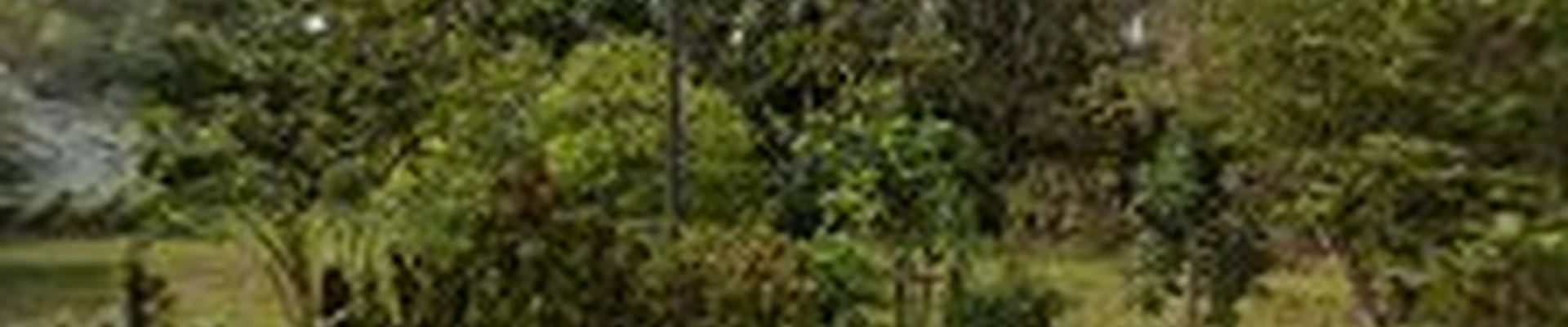 Dickerson Landscaping & Lawn Care | Tallahassee, FL