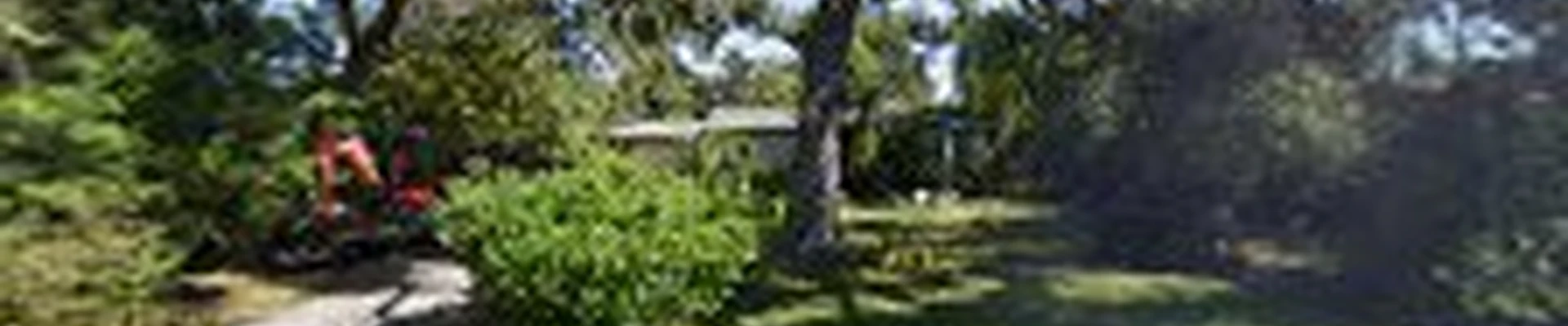 Tallahassee Prime Lawn Care L.L.C.