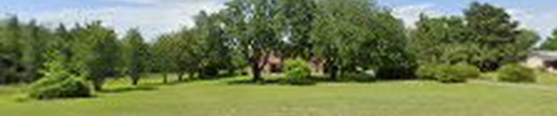 LIRR-CO, LLC | Landscaping & Irrigation | Tallahassee, Florida