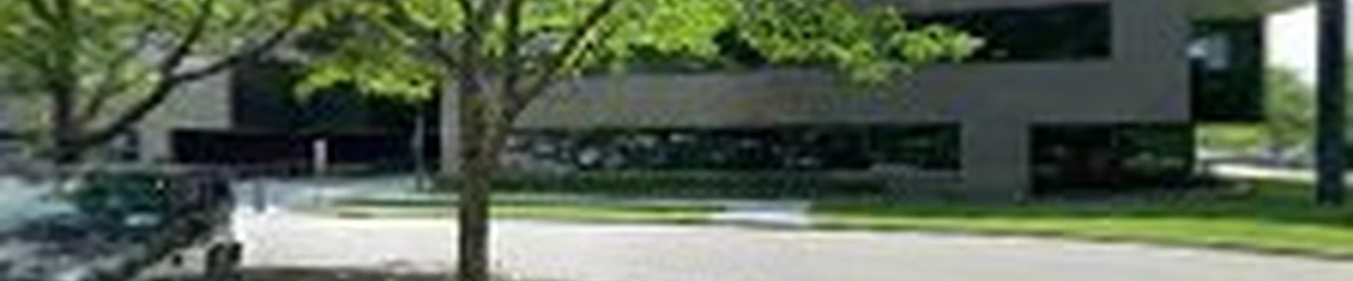 Neighbors Landscaping Inc