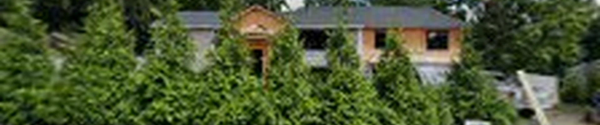 Pristine Stonework & Landscape Design Inc.