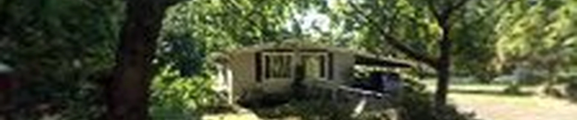 Alvin Landscaping Inc