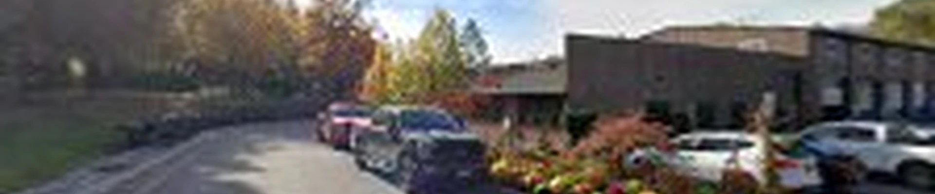 Curti's Landscaping, Inc