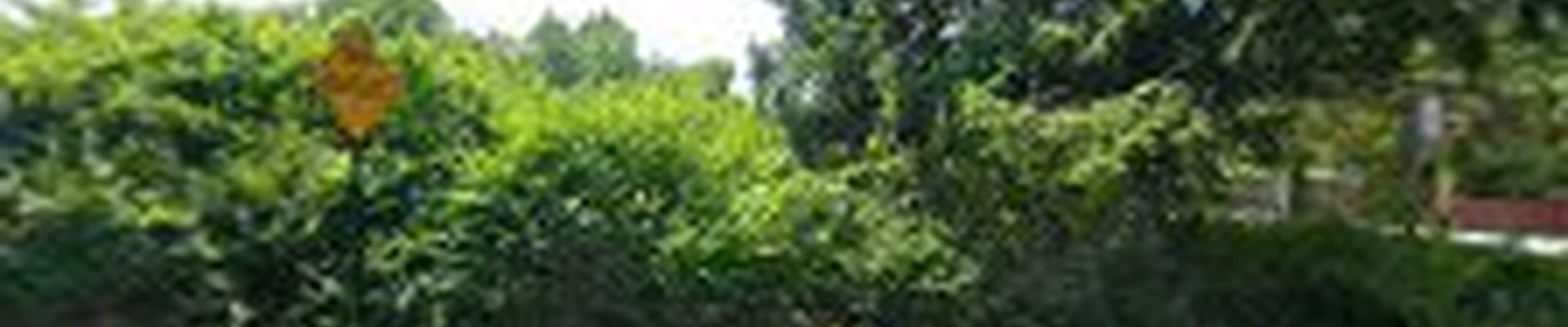 Land Tech Enterprise Landscaping and Construction Services