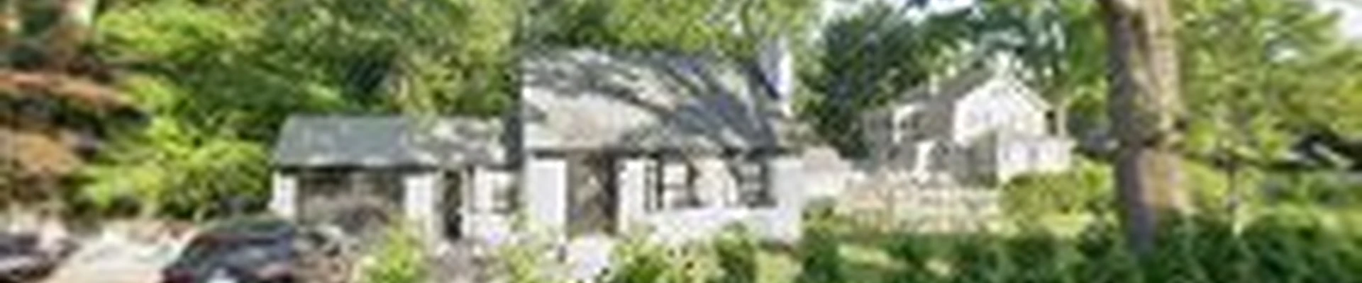 sanchez landscaping and painting llc