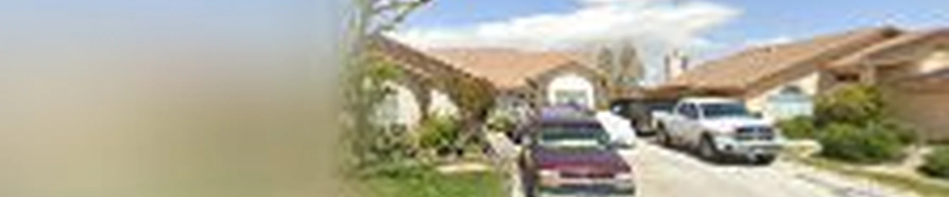 Lucio lawn & landscapes