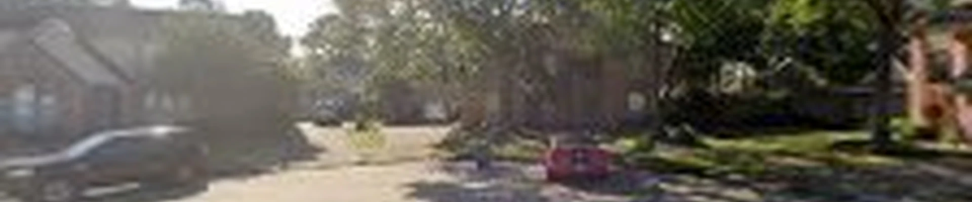 Living Trees & Shrubs