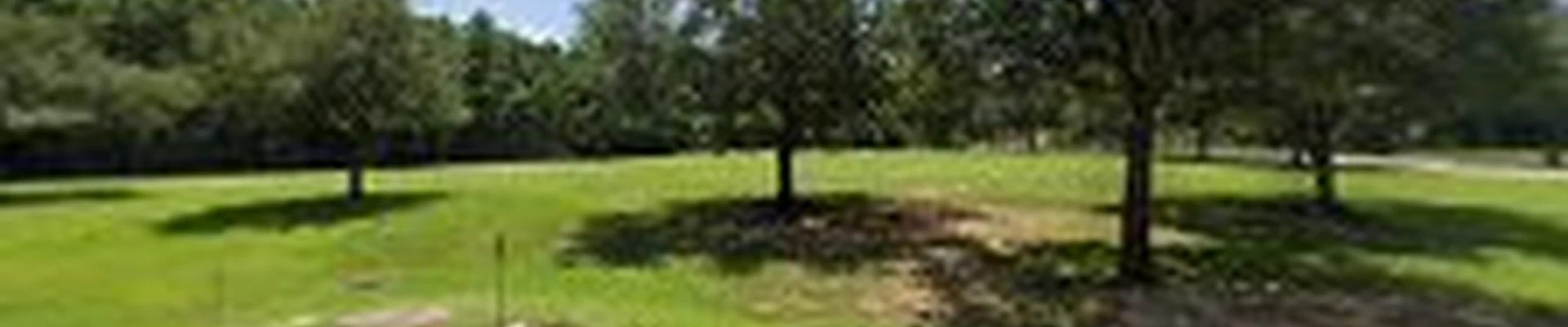 New Yards Landscaping