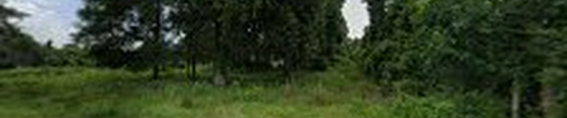 Riverside Lawn & Landscaping
