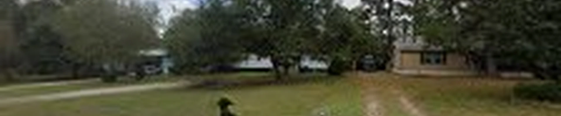 David Martínez Landscaping