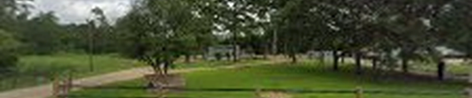 Diamond Oak Landscaping