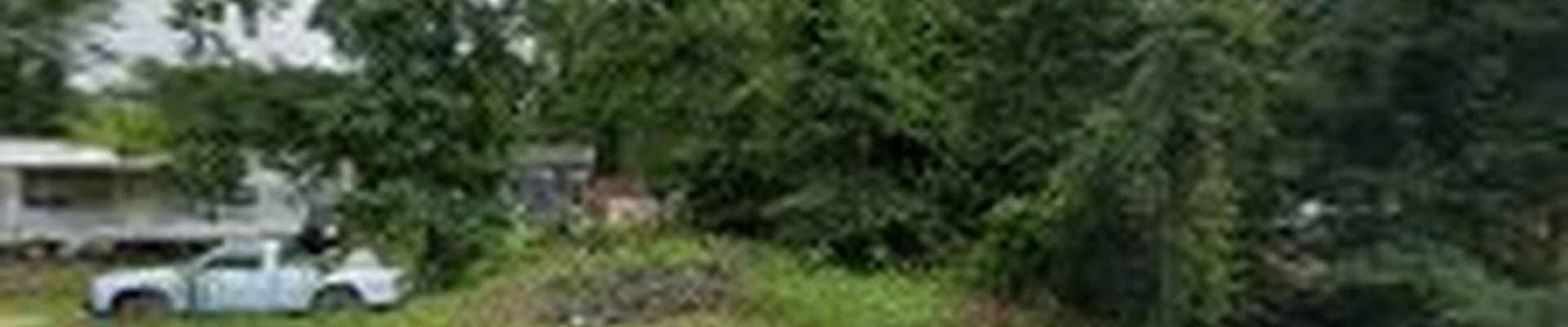 Magnolia Lawn & Landscaping