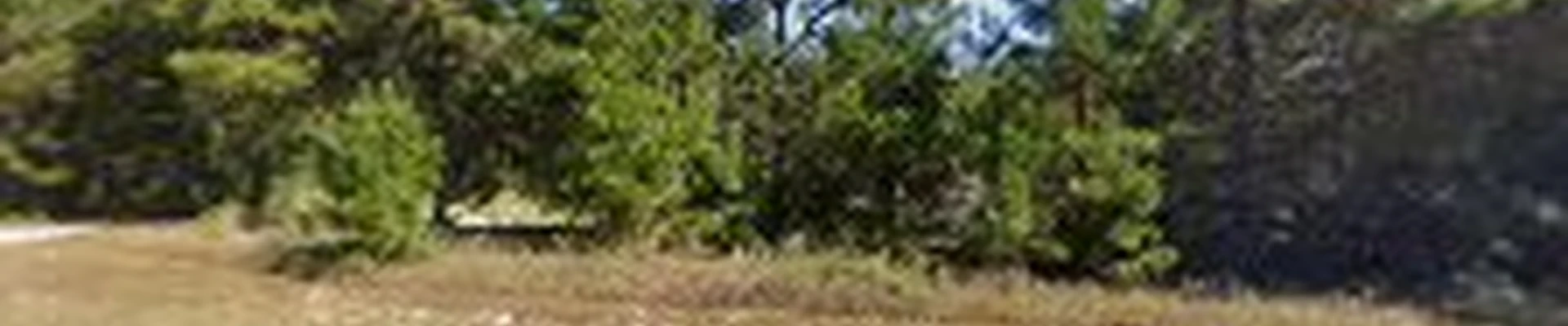 Texas Landscape & Design