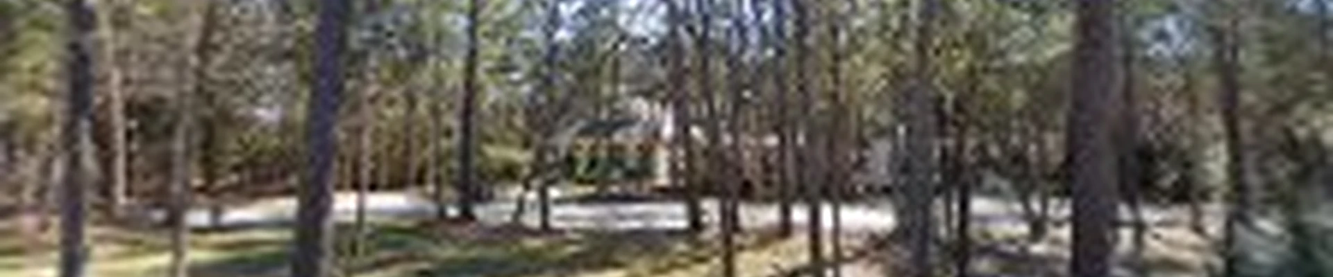 Boones Landscaping Montgomery TX